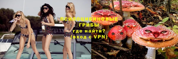 индика Абдулино