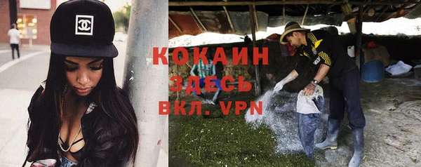 индика Абдулино