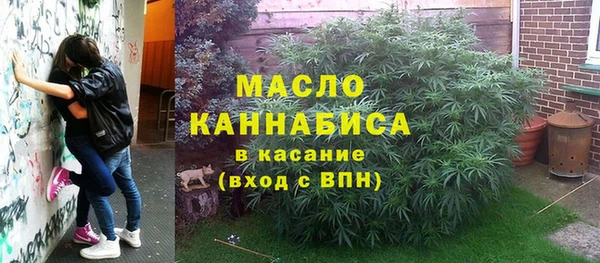 индика Абдулино