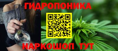 a pvp Гусев