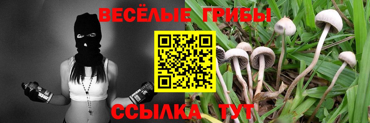 Лысьва  Псилоцибиновые грибы ЛСД  Вход с VPN 